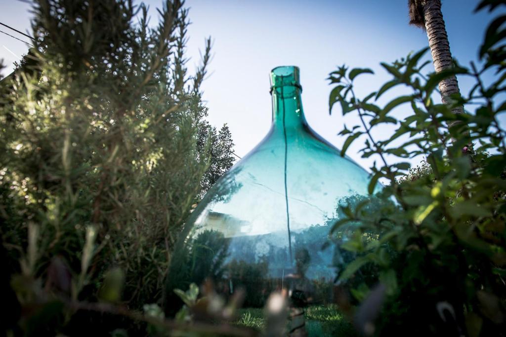 Vila Casa Vittoria Camaiore Exteriér fotografie